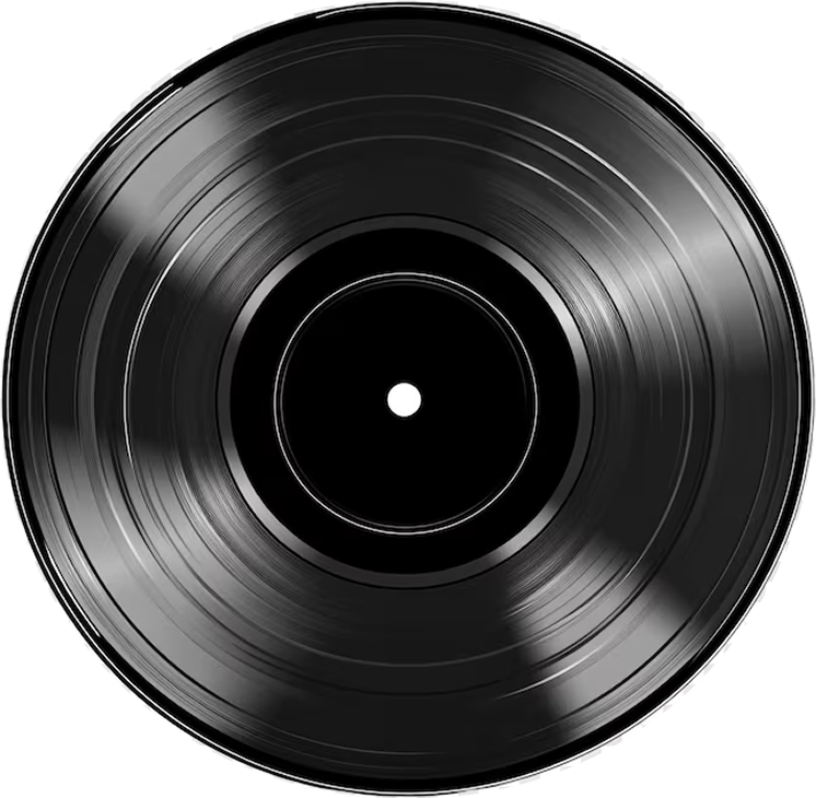 Vinyl record
